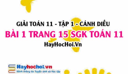 Giải bài 1 trang 15 Toán 11 tập 1 SGK Cánh Diều